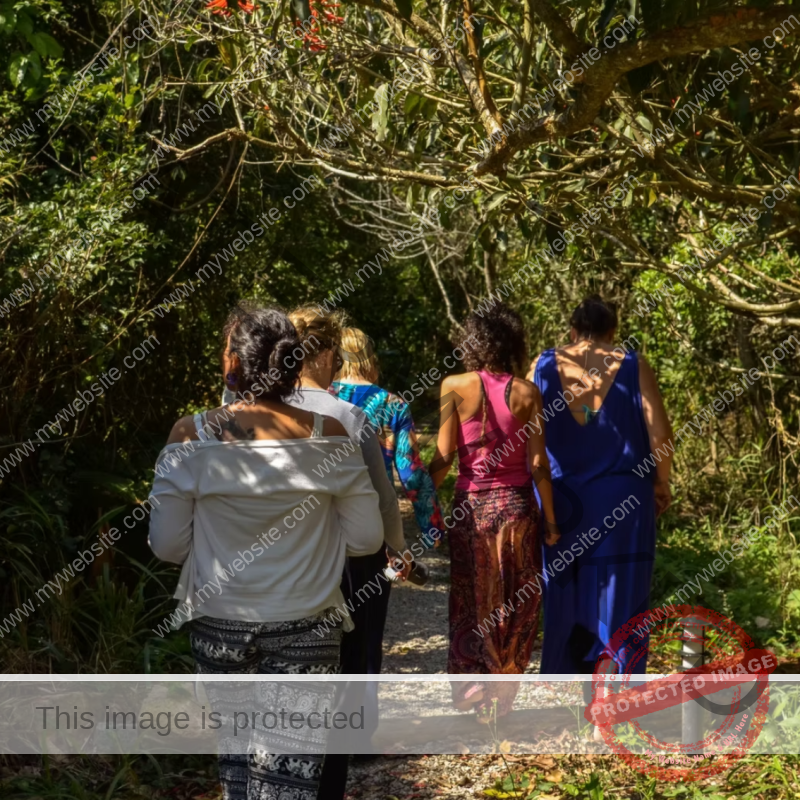 imagem_2025-05-13_191431653